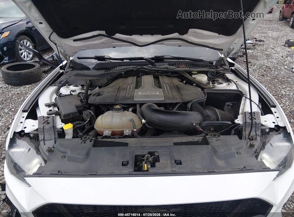 1FA6P8CF5K5116780 2019 FORD MUSTANG White Widok z tyłu