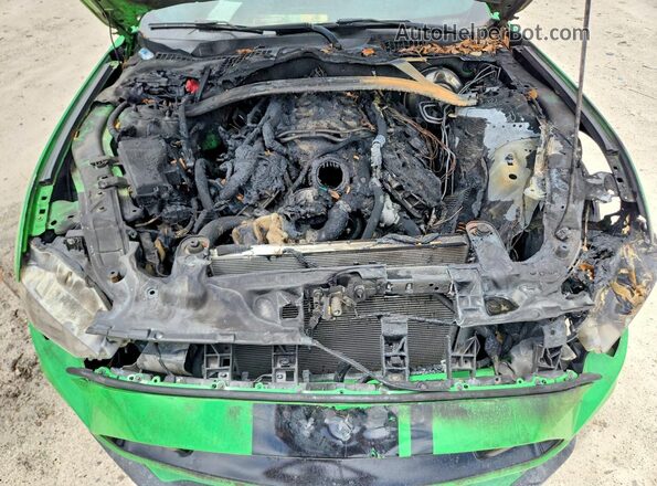 1FA6P8CF5K5167308 2019 FORD MUSTANG Green Rear interior view