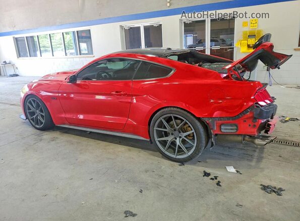 1FA6P8CF5K5180544 2019 FORD MUSTANG Red Rear left