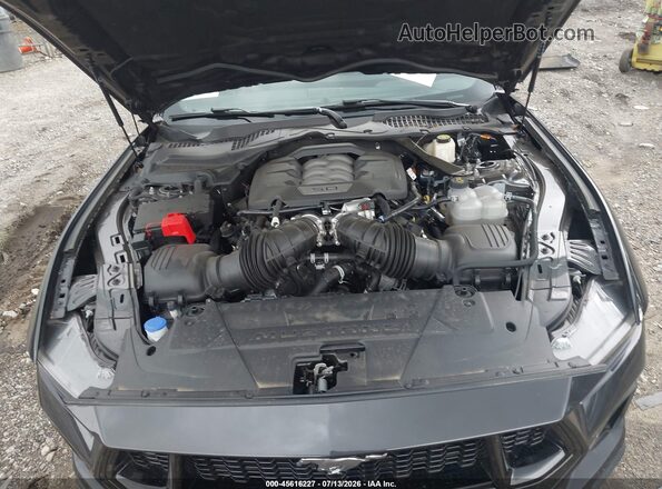 1FA6P8CF5R5428785 2024 FORD MUSTANG Black Rear view