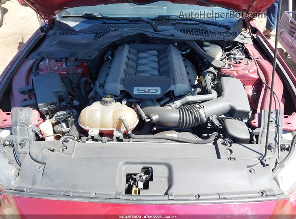 1FA6P8CF6G5206530 2016 FORD MUSTANG Red Widok z tyłu