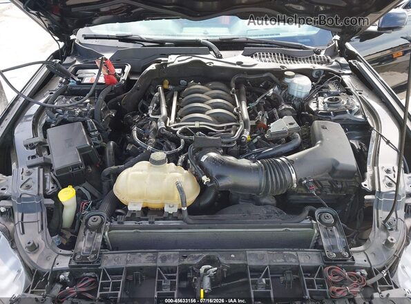 1FA6P8CF6K5109000 2019 FORD MUSTANG Черный Вид сзади