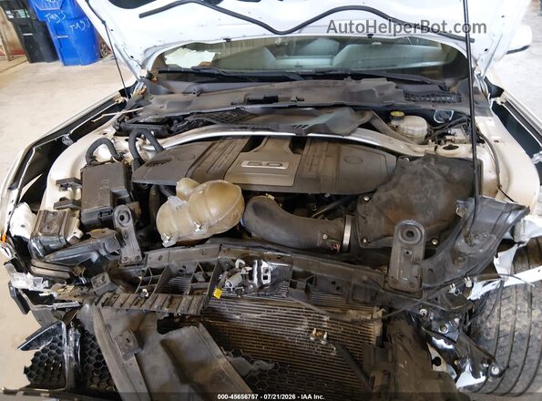 1FA6P8CF6K5152459 2019 FORD MUSTANG White Rear view