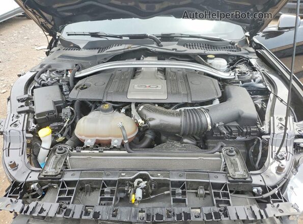 1FA6P8CF7K5146573 2019 FORD MUSTANG Black Սալոնի հետևի տեսք