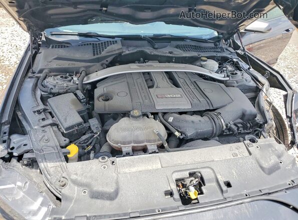 1FA6P8CF7L5124378 2020 FORD MUSTANG Gray Вид задньої частини салону