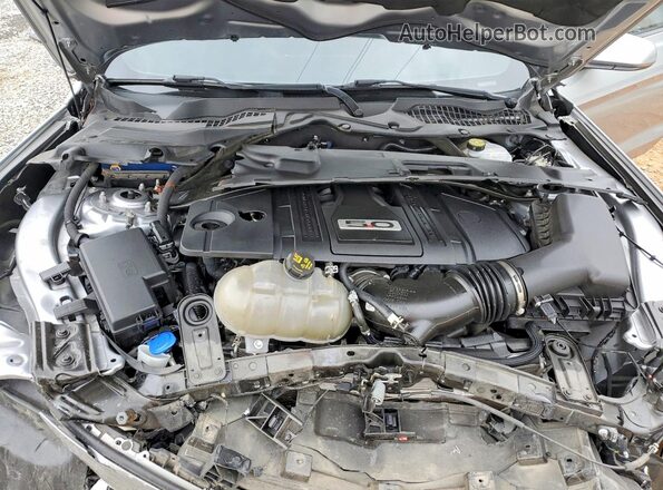 1FA6P8CF7M5134538 2021 FORD MUSTANG Gray Vista interior trasera