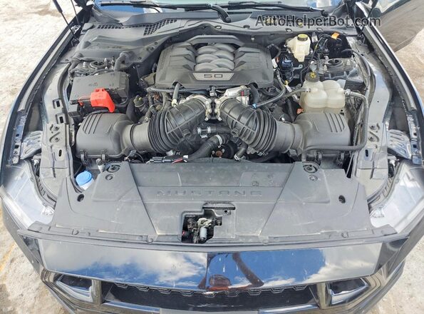 1FA6P8CF7R5404195 2024 FORD MUSTANG Черный Вид задней части салона