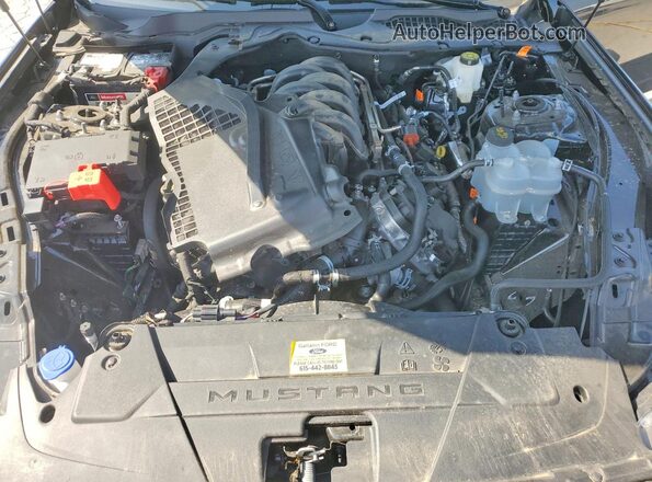 1FA6P8CF7S5402761 2025 FORD MUSTANG Черный Вид задней части салона