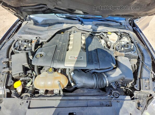 1FA6P8CF8K5134562 2019 FORD MUSTANG Black Widok wnętrza z tyłu