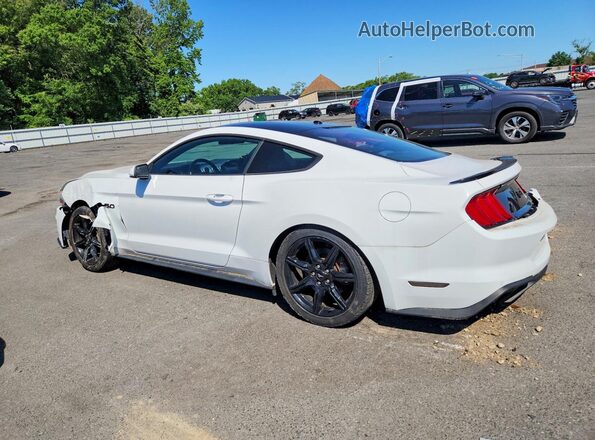 1FA6P8CF8K5167710 2019 FORD MUSTANG White უკანა მარცხენა