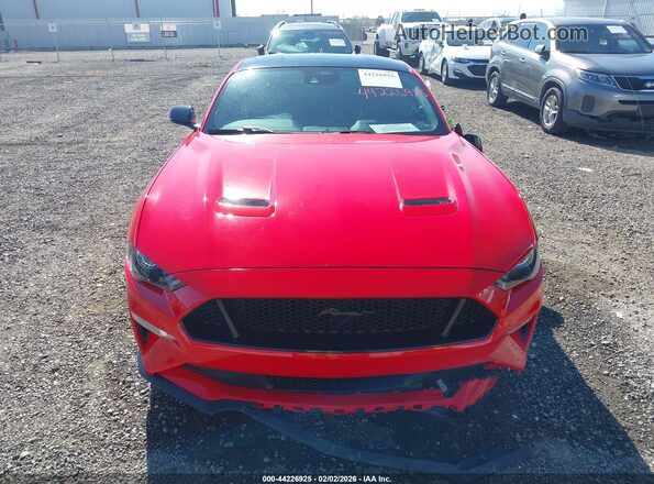 1FA6P8CF8P5305253 2023 FORD MUSTANG Red Սարքավորումների վահանակի տեսք