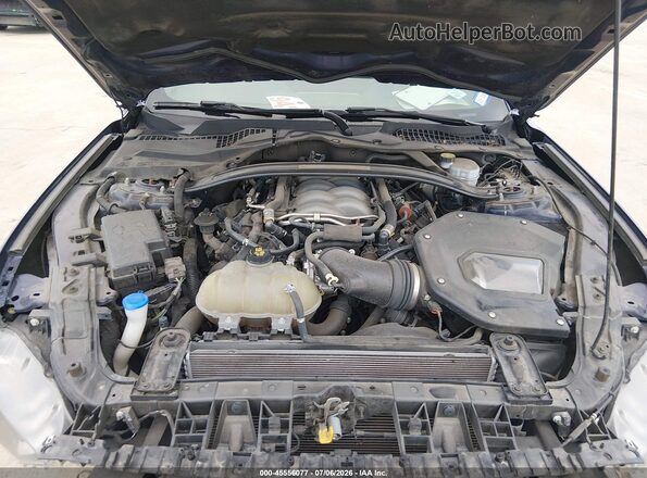 1FA6P8CF9L5186316 2020 FORD MUSTANG Синий Вид сзади