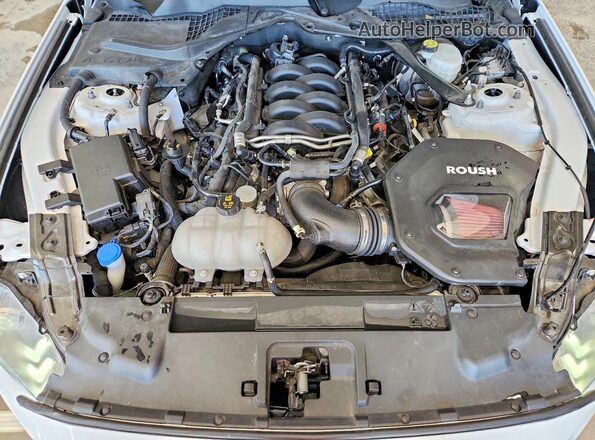 1FA6P8CF9M5151423 2021 FORD MUSTANG White Սալոնի հետևի տեսք