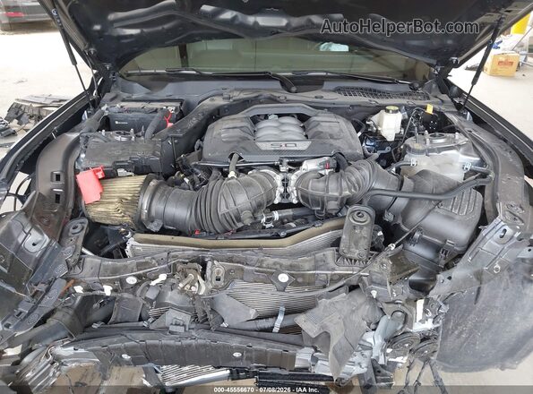 1FA6P8CF9R5422553 2024 FORD MUSTANG Серый Вид сзади