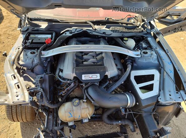 1FA6P8CFXM5156338 2021 FORD MUSTANG Gray Սալոնի հետևի տեսք