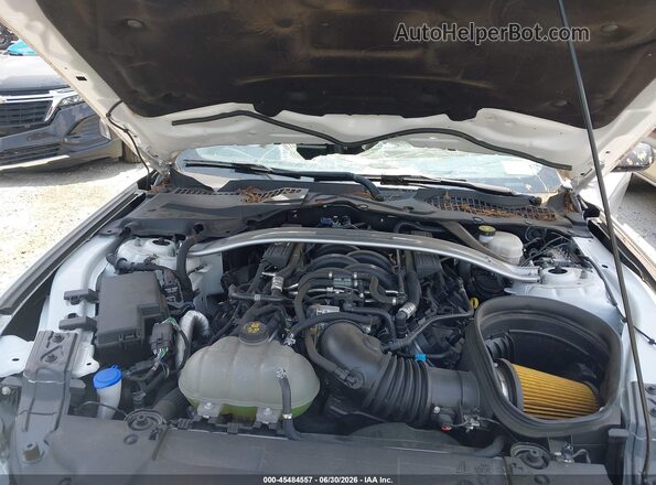 1FA6P8R02M5554498 2021 FORD MUSTANG Белый Вид сзади