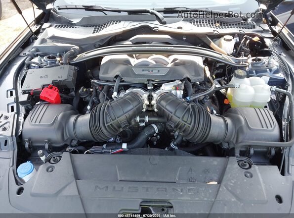 1FA6P8R08R5501036 2024 FORD MUSTANG Синий Вид сзади
