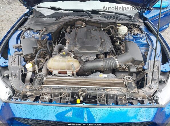 1FA6P8TH0H5293036 2017 FORD MUSTANG Синий Вид сзади