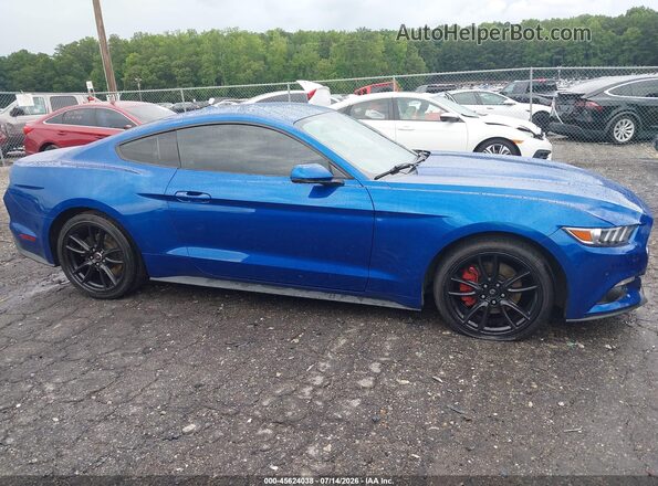 1FA6P8TH0H5293036 2017 FORD MUSTANG Синий Вид задней части салона