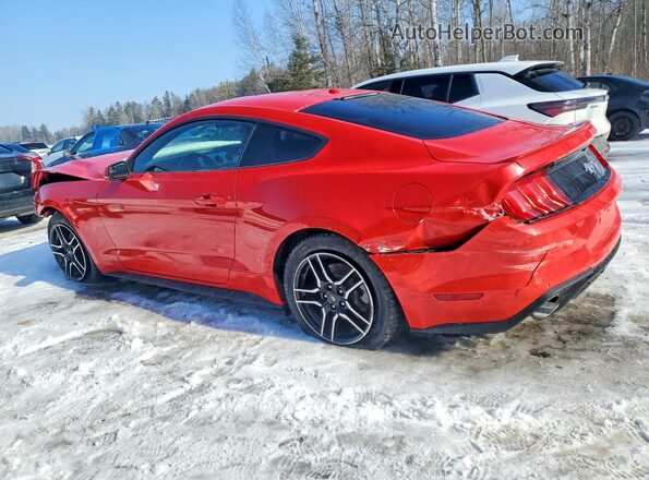 1FA6P8TH0K5103100 2019 FORD MUSTANG Red Trasero izquierdo