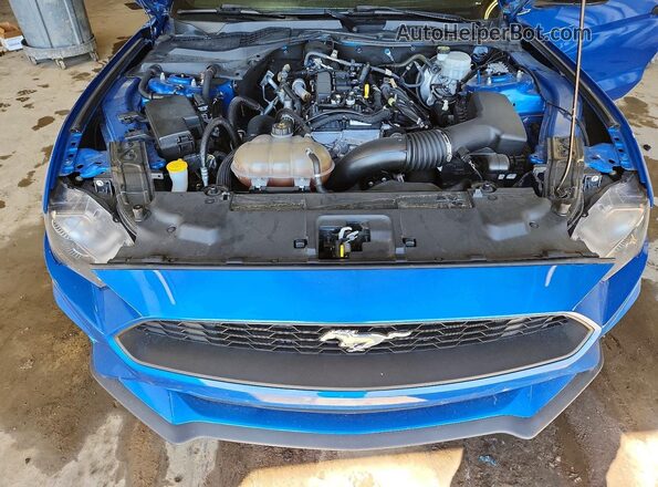 1FA6P8TH0K5103453 2019 FORD MUSTANG Blue უკანა სალონის ხედი