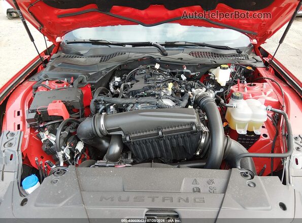 1FA6P8TH0T5111599 2026 FORD MUSTANG Red Widok z tyłu