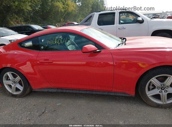 1FA6P8TH0T5111599 2026 FORD MUSTANG Red Widok wnętrza z tyłu
