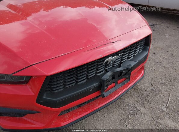 1FA6P8TH0T5111599 2026 FORD MUSTANG Red 