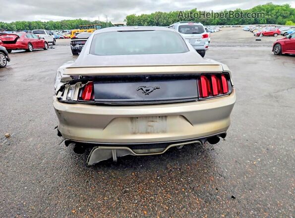 1FA6P8TH1H5225571 2017 FORD MUSTANG Gray უკანა ხედი