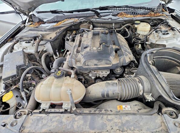 1FA6P8TH1H5225571 2017 FORD MUSTANG Gray უკანა სალონის ხედი
