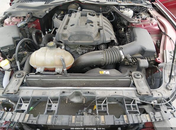 1FA6P8TH1H5259008 2017 FORD MUSTANG Red Widok z tyłu