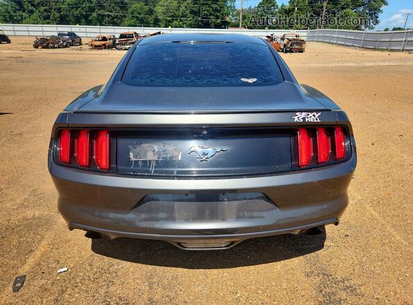 1FA6P8TH1H5272485 2017 FORD MUSTANG Gray Вид ззаду