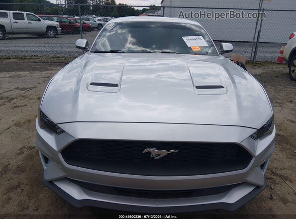 1FA6P8TH1K5201133 2019 FORD MUSTANG Серебряный Вид задней части салона