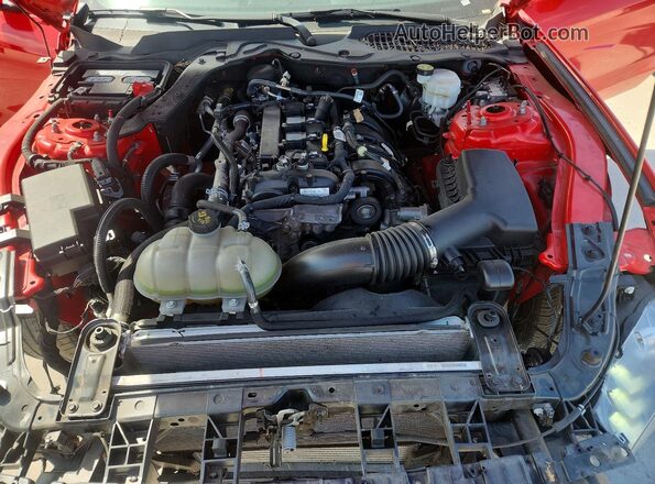 1FA6P8TH1P5108006 2023 FORD MUSTANG Красный Вид задней части салона