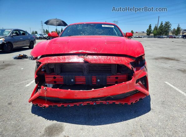 1FA6P8TH1P5109222 2023 FORD MUSTANG Red Vista frontal