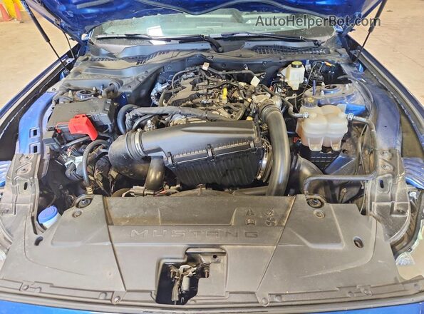 1FA6P8TH1R5114942 2024 FORD MUSTANG Blue Вид задньої частини салону