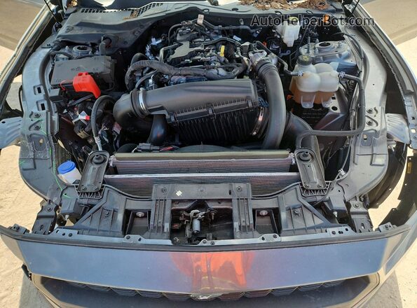 1FA6P8TH1R5121664 2024 FORD MUSTANG Gray უკანა სალონის ხედი