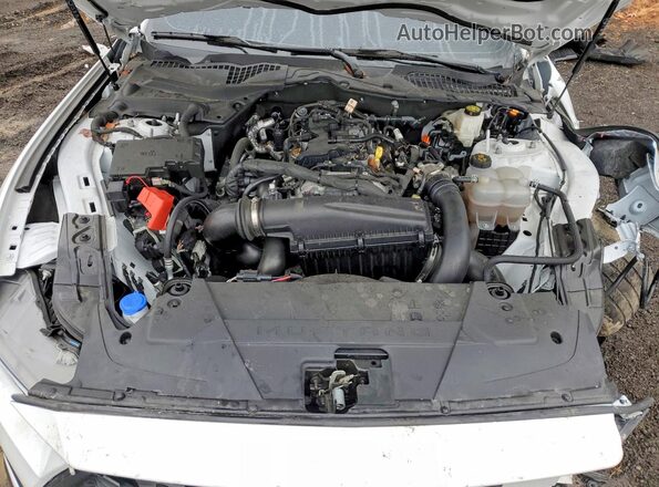 1FA6P8TH1R5130672 2024 FORD MUSTANG Белый Вид задней части салона
