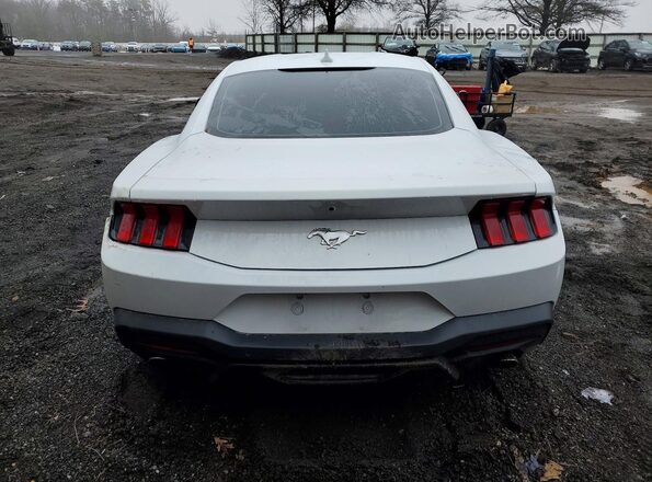 1FA6P8TH1R5130672 2024 FORD MUSTANG Белый Вид сзади