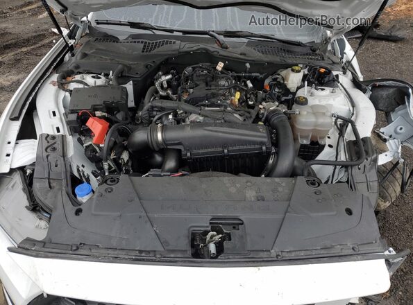 1FA6P8TH1R5130672 2024 FORD MUSTANG Белый 