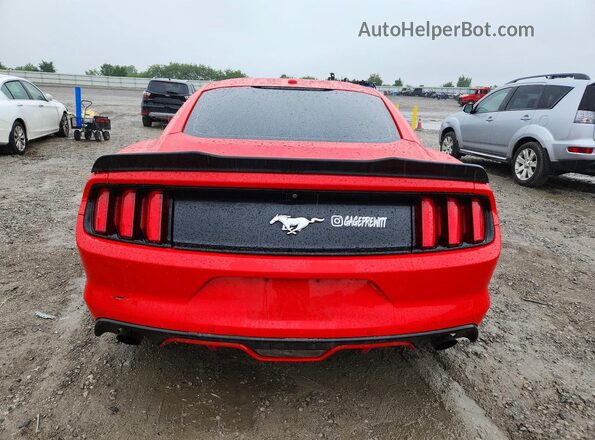 1FA6P8TH2H5249720 2017 FORD MUSTANG Red Вид ззаду