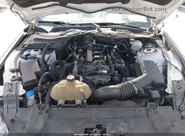 1FA6P8TH2M5128065 2021 FORD MUSTANG White Հետևի տեսք