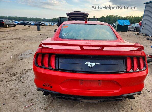 1FA6P8TH2N5131677 2022 FORD MUSTANG Red უკანა ხედი