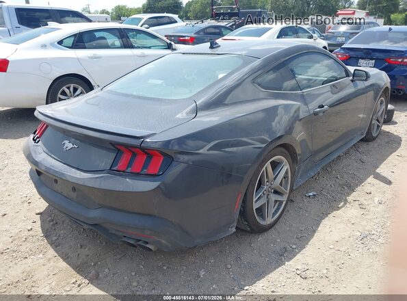 1FA6P8TH2R5118157 2024 FORD MUSTANG Gray Rear right