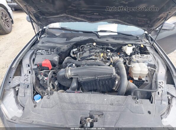 1FA6P8TH2R5118157 2024 FORD MUSTANG Gray Rear view