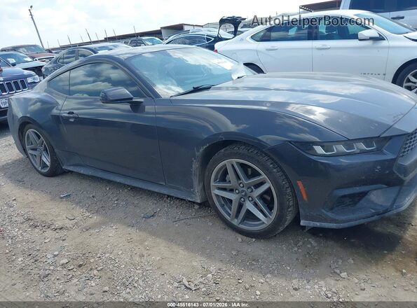 1FA6P8TH2R5118157 2024 FORD MUSTANG Gray Rear interior view