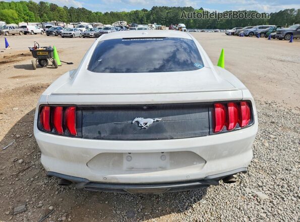 1FA6P8TH3K5169642 2019 FORD MUSTANG Белый Вид сзади