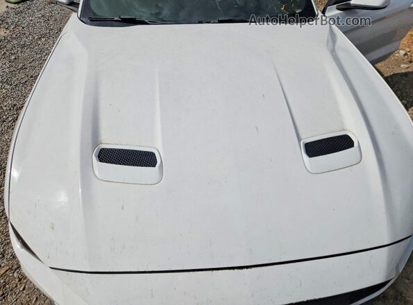 1FA6P8TH3K5169642 2019 FORD MUSTANG Белый Вид задней части салона