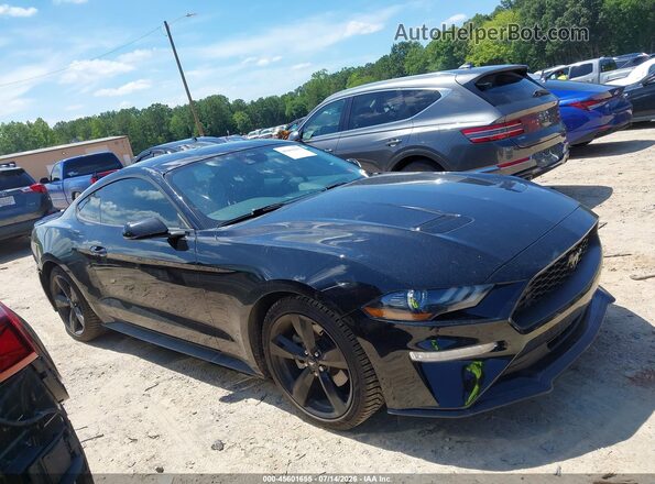 1FA6P8TH3P5102014 2023 FORD MUSTANG Черный Вид задней части салона