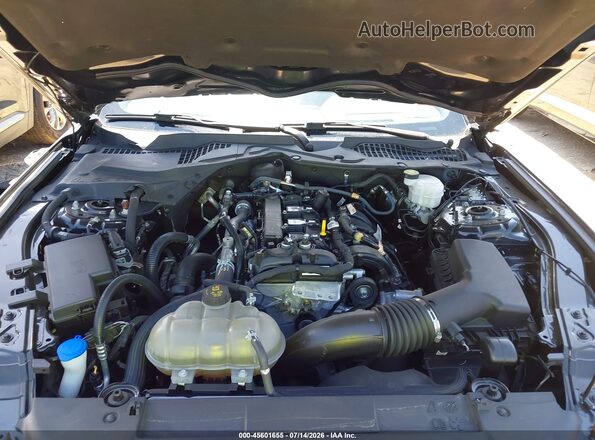 1FA6P8TH3P5102014 2023 FORD MUSTANG Черный Вид сзади